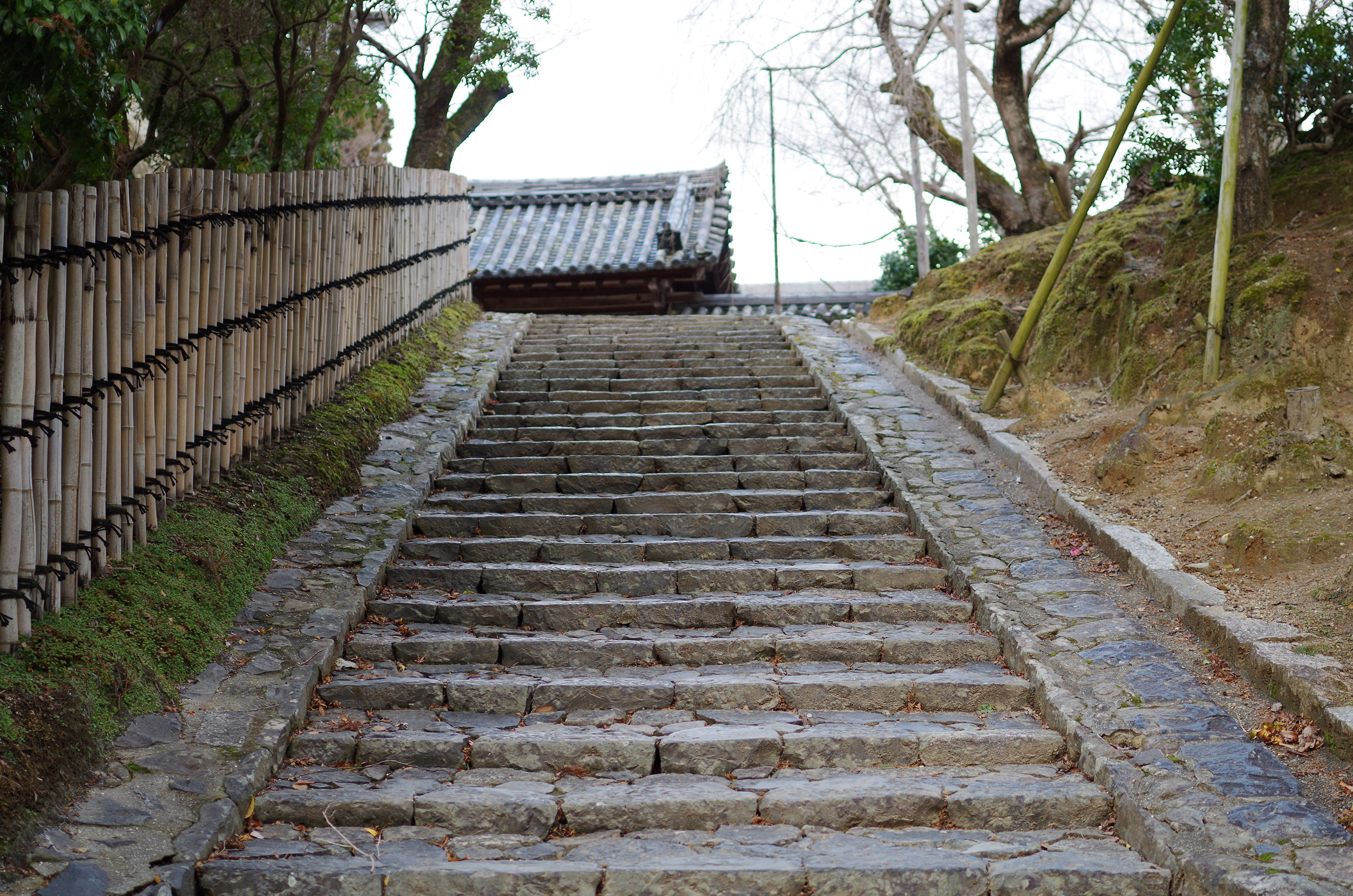 参道 | ture Japan | Culture
